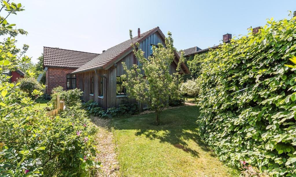 Alte Tischlerei 02 Holiday home