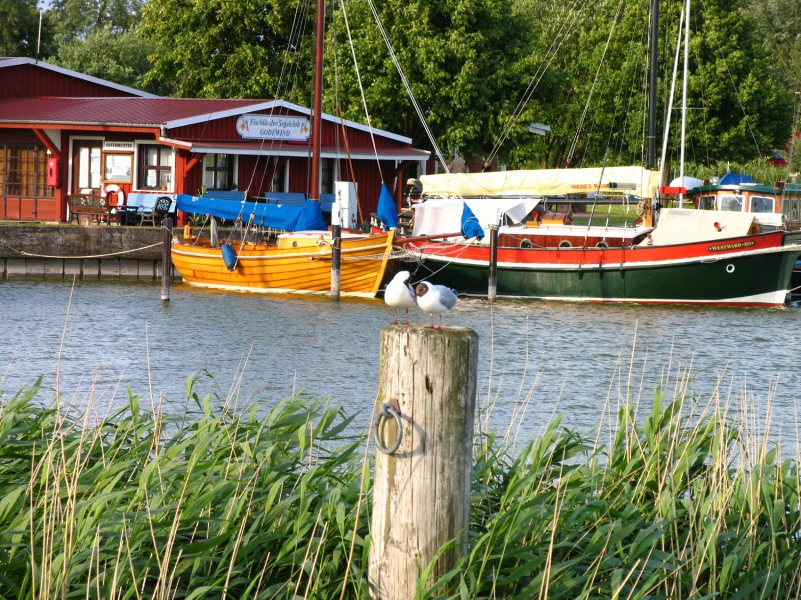 Alte Tischlerei 02 Holiday home